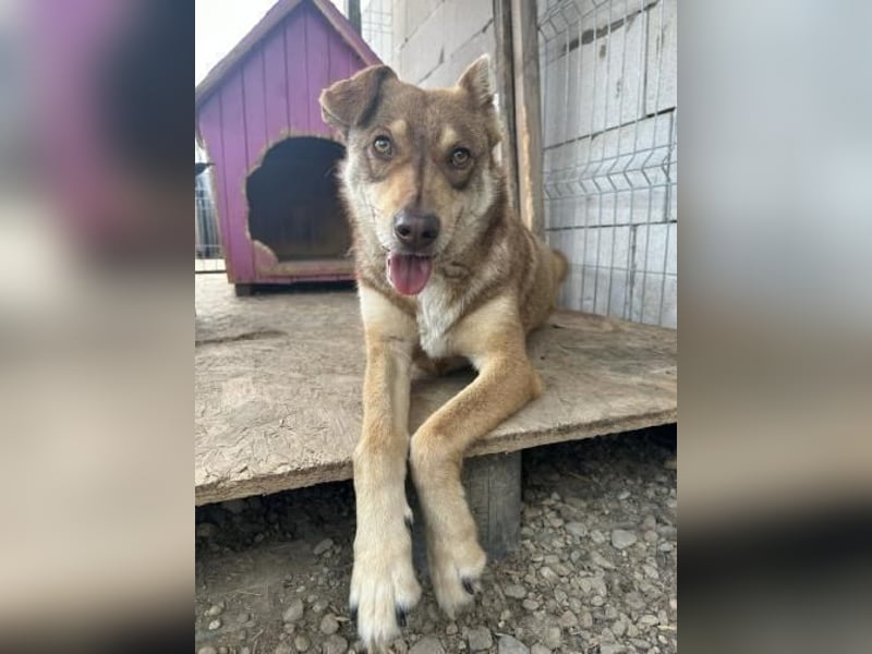 HOPE - weil die Hoffnung zuletzt stirbt