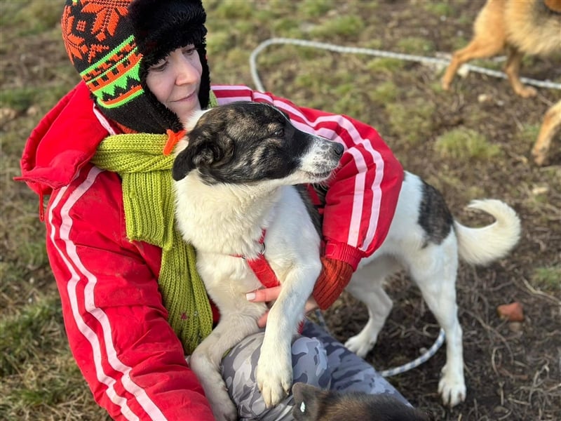 Süße Stacy sucht liebevolles Zuhause