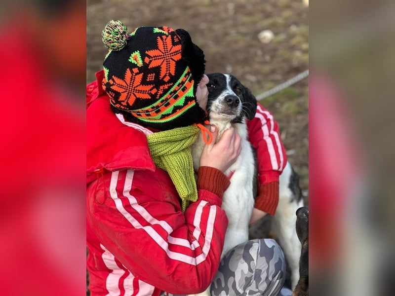 Süße Stacy sucht liebevolles Zuhause