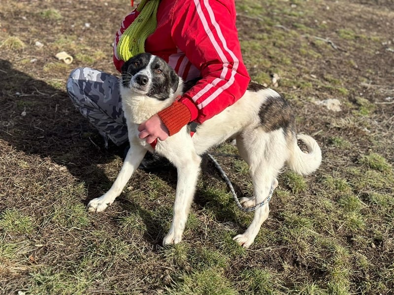 Süße Stacy sucht liebevolles Zuhause