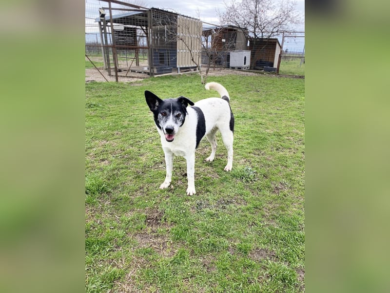 Luna fröhlicher Sonnenschein, auch im Doppelpack