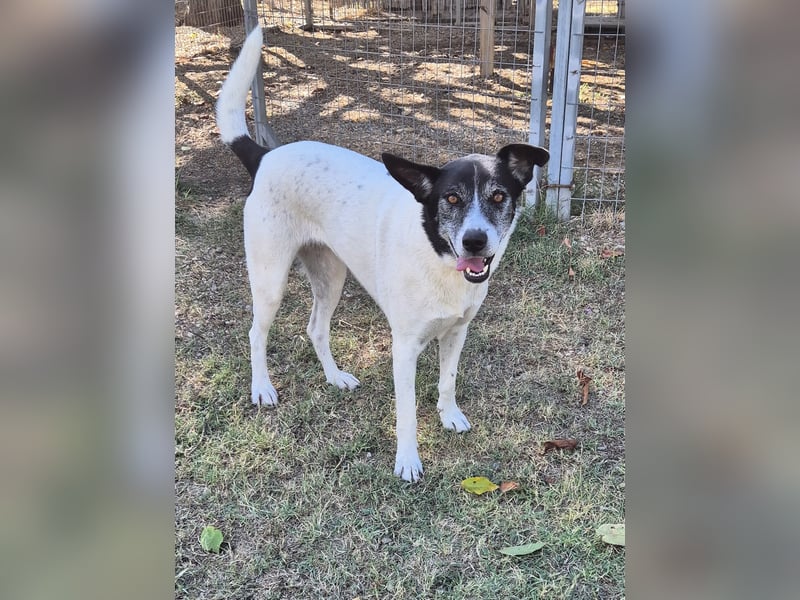 Luna fröhlicher Sonnenschein, auch im Doppelpack