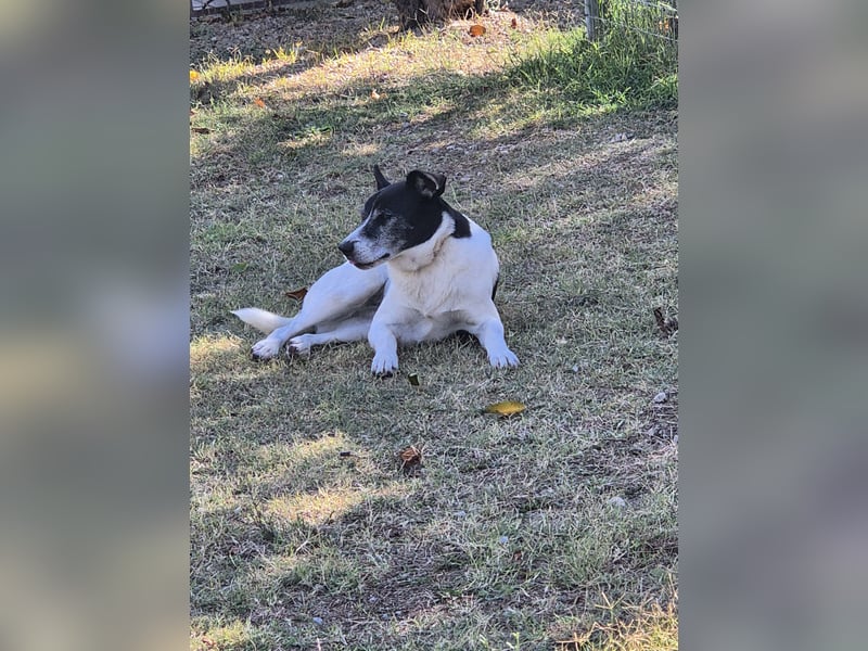 Luna fröhlicher Sonnenschein, auch im Doppelpack