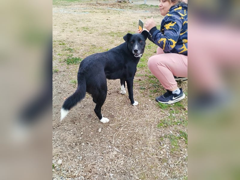 Gulio - süßer Racker