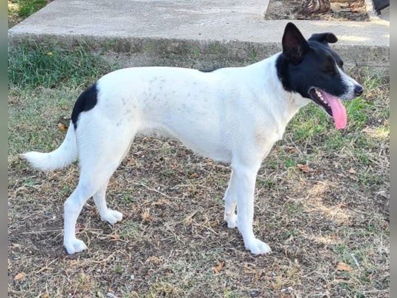 Luna fröhlicher Sonnenschein, auch im Doppelpack