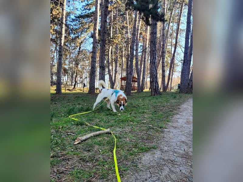 Phoenix, aus der Hölle entkommen, sucht nun seinen Himmel auf Erden