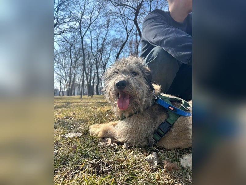 Süße Titza sucht ihr eigenes Körbchen