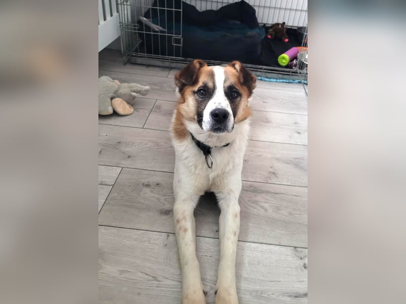 Phoenix, aus der Hölle entkommen, sucht nun seinen Himmel auf Erden