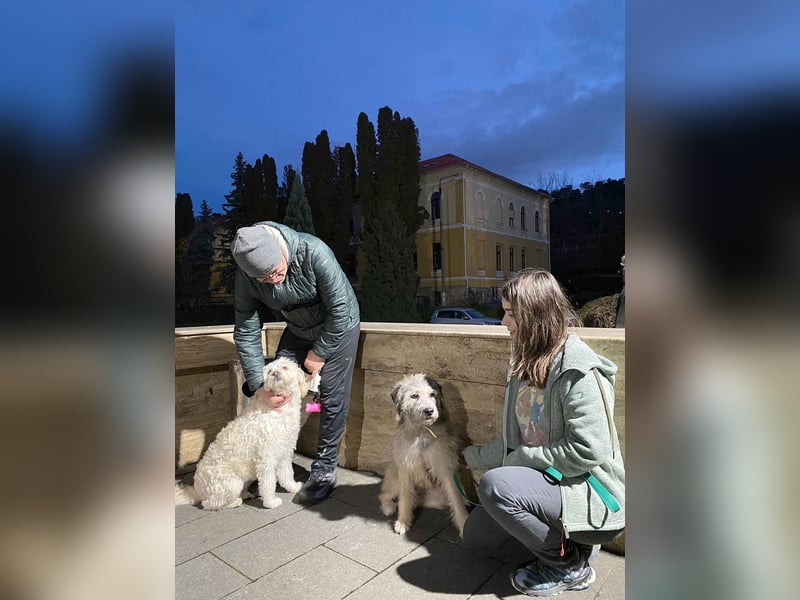 Süße Titza sucht ihr eigenes Körbchen