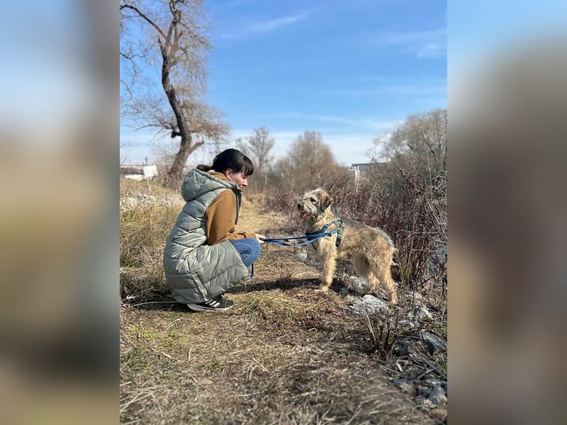 Süße Titza sucht ihr eigenes Körbchen