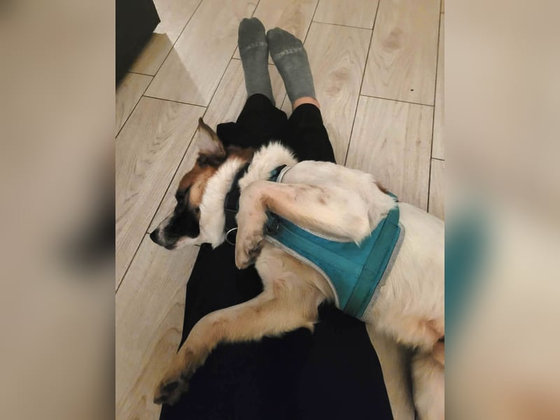 Phoenix, aus der Hölle entkommen, sucht nun seinen Himmel auf Erden