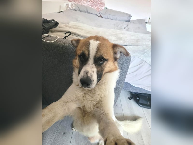 Phoenix, aus der Hölle entkommen, sucht nun seinen Himmel auf Erden