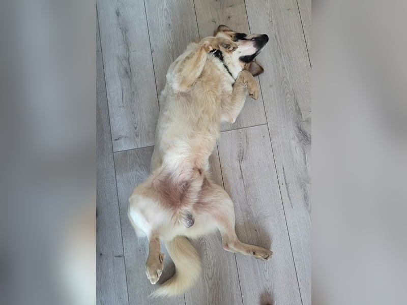 Phoenix, aus der Hölle entkommen, sucht nun seinen Himmel auf Erden