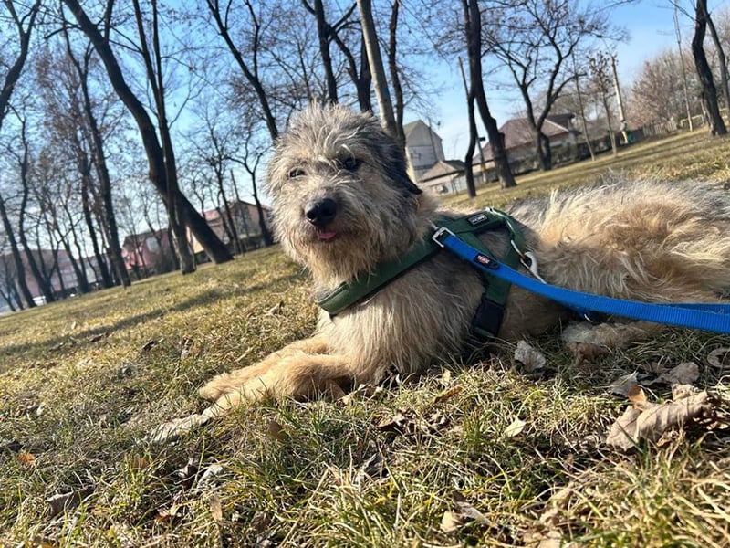 Süße Titza sucht ihr eigenes Körbchen