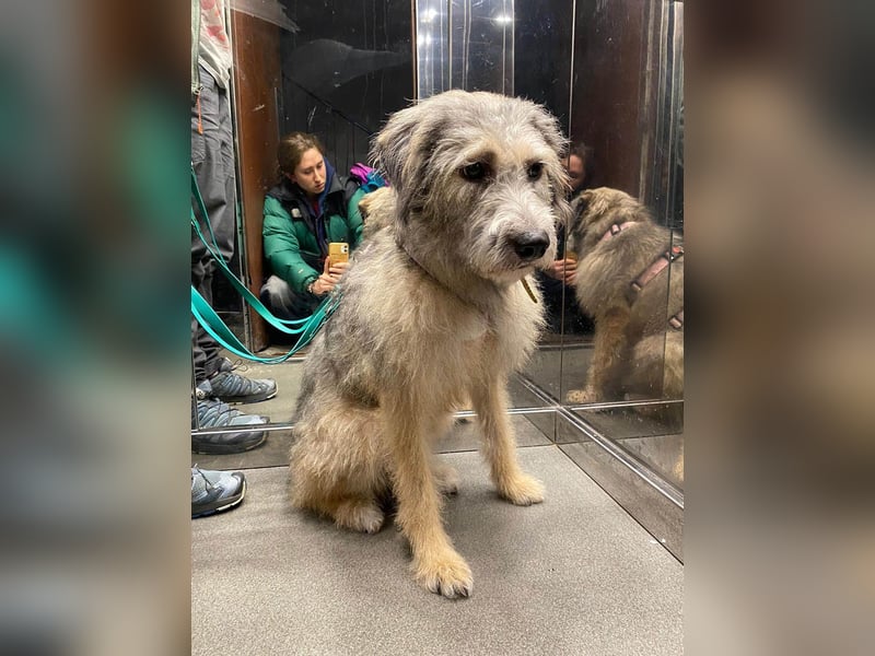 Süße Titza sucht ihr eigenes Körbchen