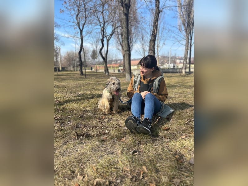 Süße Titza sucht ihr eigenes Körbchen