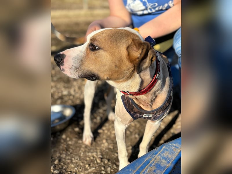 Der schöne Timo hat ein schlimmes Schicksal !