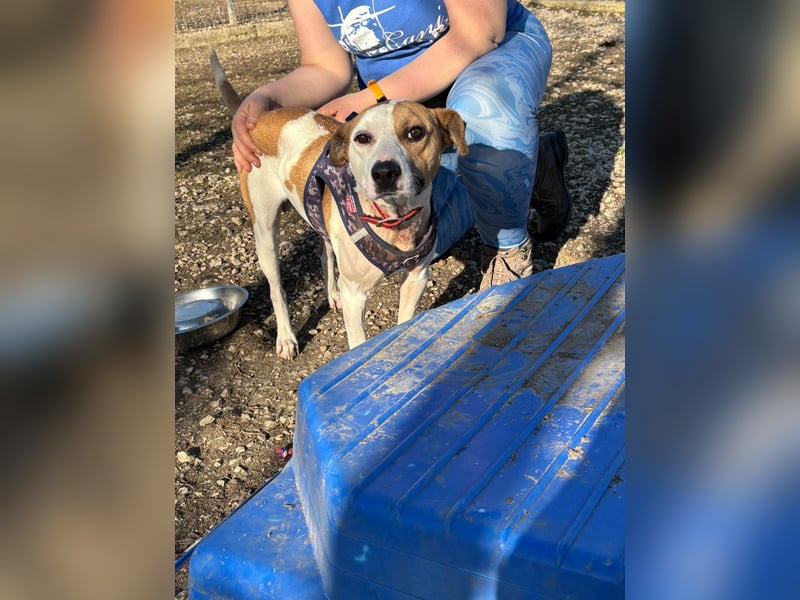 Der schöne Timo hat ein schlimmes Schicksal !