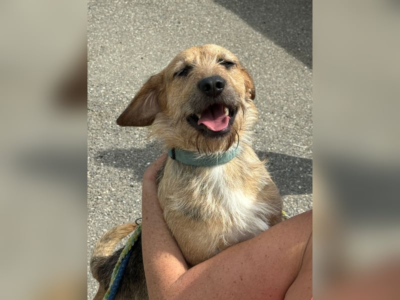 Plusz und Minusz, 2 Brüder, die gerne gemeinsam weiter durch das Leben gehen würden.