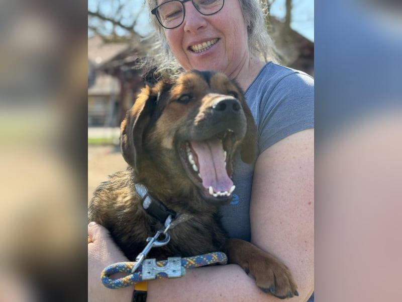 Fasirt ein hübscher junger Wonneproppen !