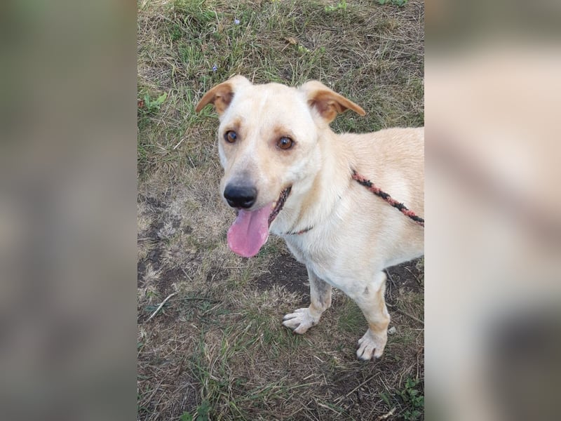 Der hübsche Milo hat eine unbeschreiblich schlechte Vergangenheit, die er gerne hinter sich lassen m