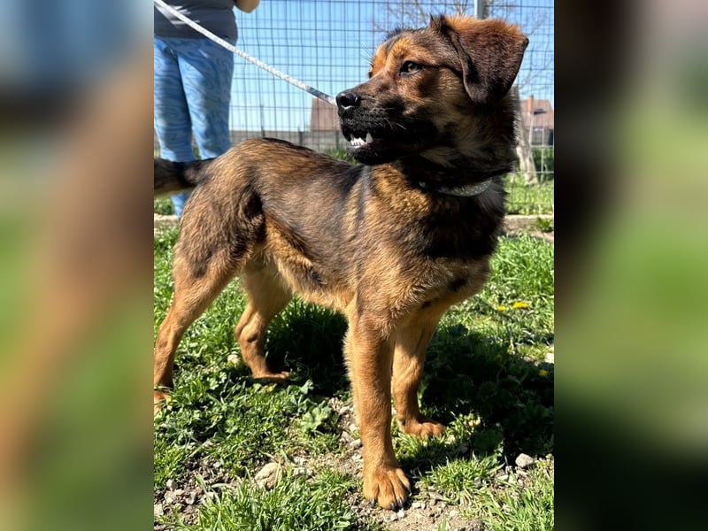 Fasirt ein hübscher junger Wonneproppen !