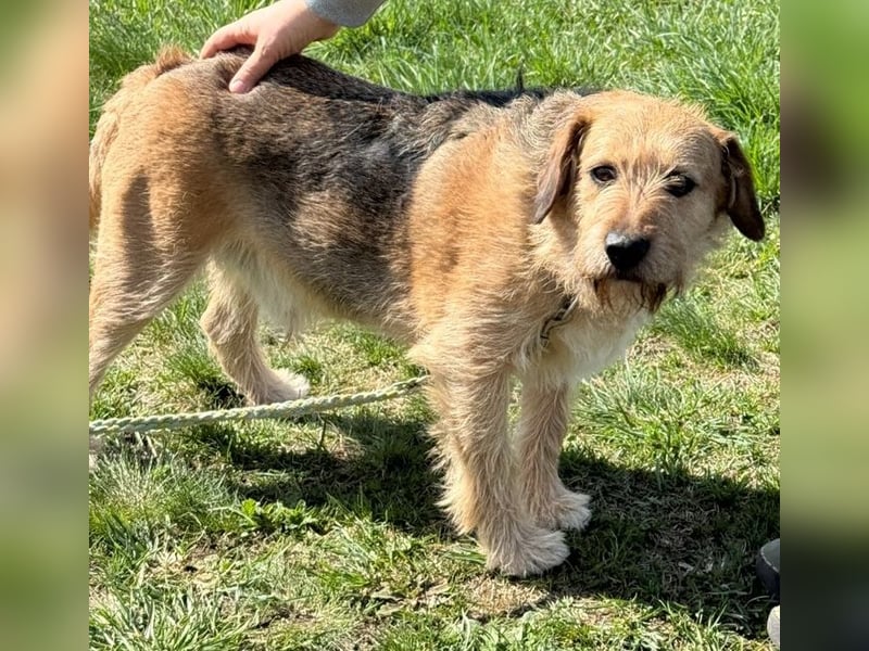 Plusz und Minusz, 2 Brüder, die gerne gemeinsam weiter durch das Leben gehen würden.