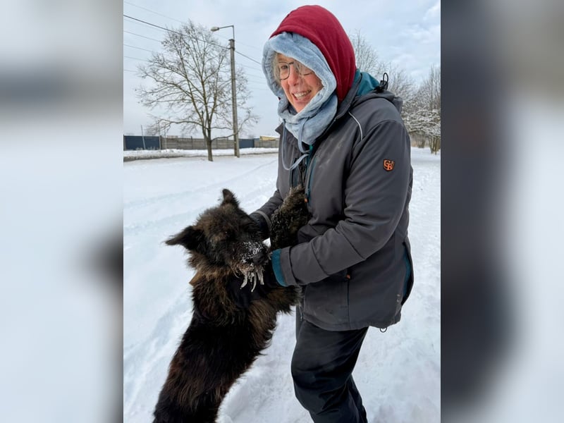 Freundliche und menschenbezogene  Wendy sucht liebevolle Familie !