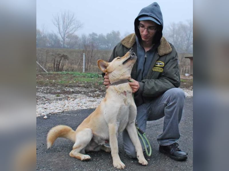 Wer hilft Zsemle, Menschen wieder zu vertrauen?