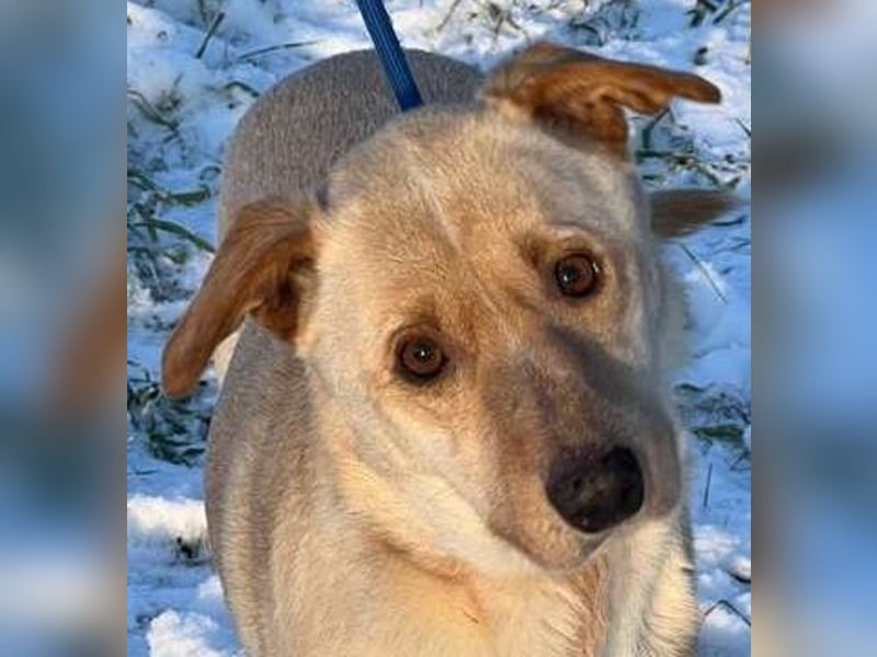 Der hübsche Milo hat eine unbeschreiblich schlechte Vergangenheit, die er gerne hinter sich lassen m