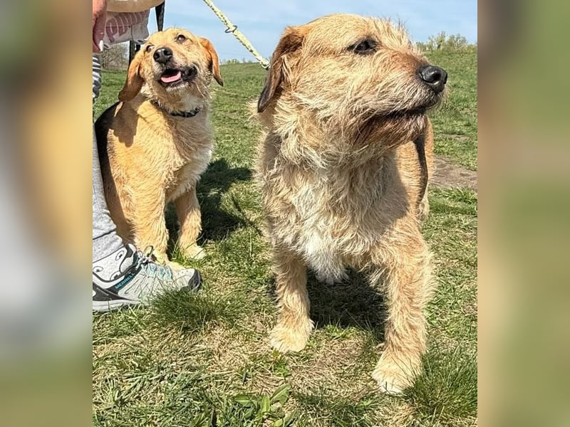 Plusz und Minusz, 2 Brüder, die gerne gemeinsam weiter durch das Leben gehen würden.