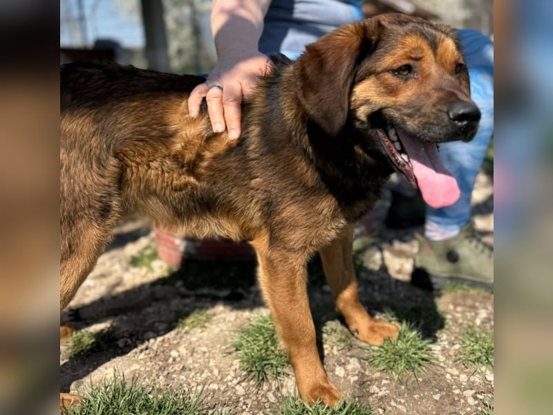 Fasirt ein hübscher junger Wonneproppen !