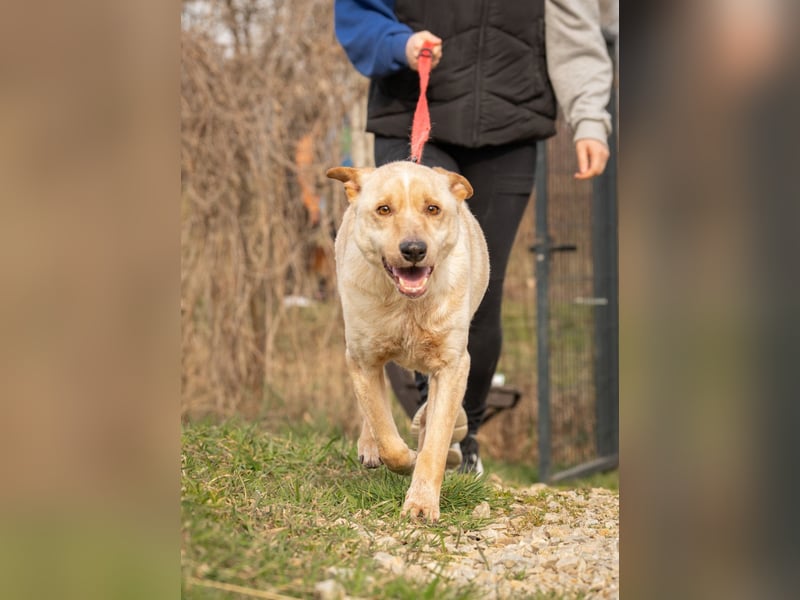 Der hübsche Milo hat eine unbeschreiblich schlechte Vergangenheit, die er gerne hinter sich lassen m