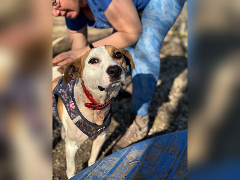 Der schöne Timo hat ein schlimmes Schicksal !