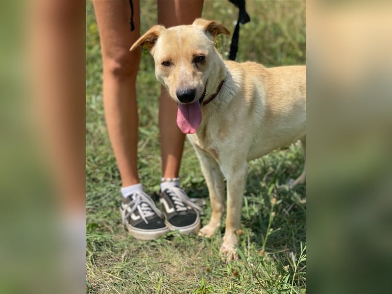 Der hübsche Milo hat eine unbeschreiblich schlechte Vergangenheit, die er gerne hinter sich lassen m