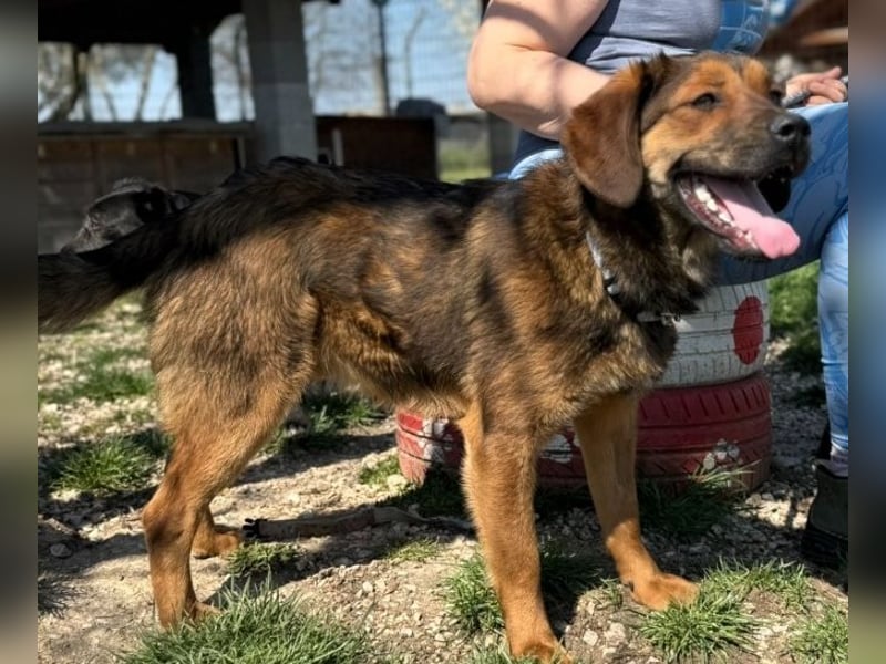 Fasirt ein hübscher junger Wonneproppen !