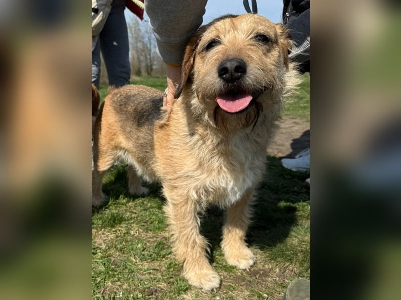 Plusz und Minusz, 2 Brüder, die gerne gemeinsam weiter durch das Leben gehen würden.