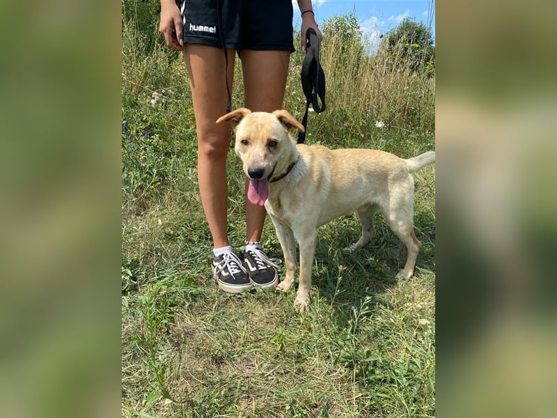 Der hübsche Milo hat eine unbeschreiblich schlechte Vergangenheit, die er gerne hinter sich lassen m