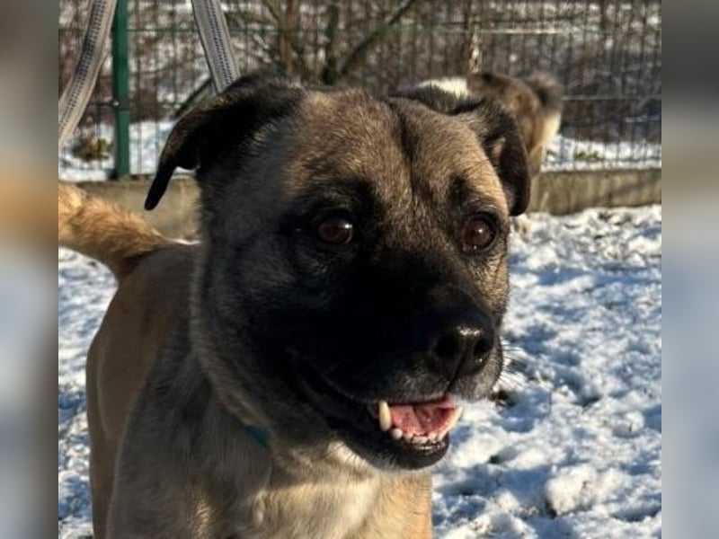 Benedek hat zusammen mit seiner Freundin Patti sein Zuhause verloren !