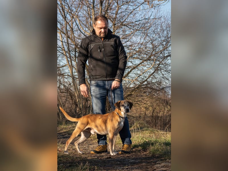 Jonas wurde von seinen Haltern alleine in einem Haus zurückgelassen