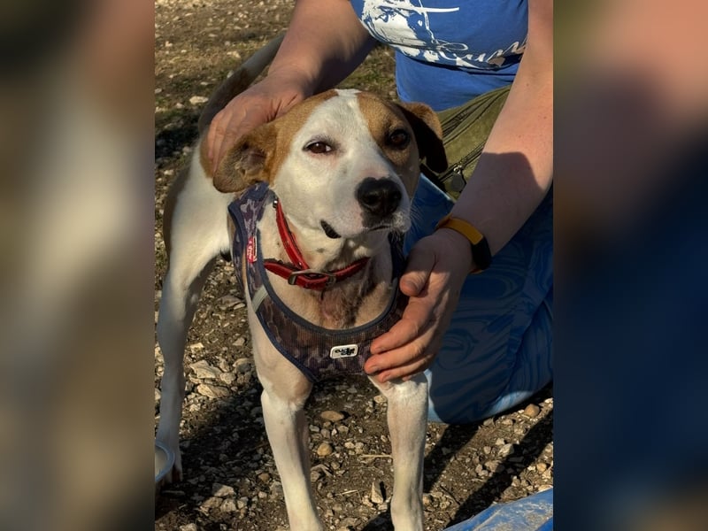 Der schöne Timo hat ein schlimmes Schicksal !