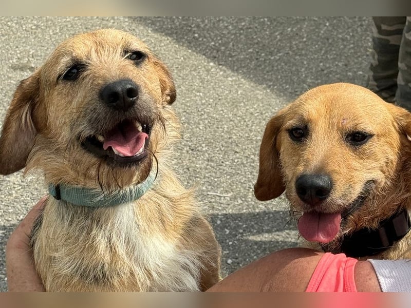 Plusz und Minusz, 2 Brüder, die gerne gemeinsam weiter durch das Leben gehen würden.