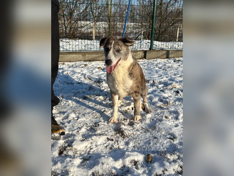 Patti und ihr Partner Benedek haben leider ihr Zuhause verloren !