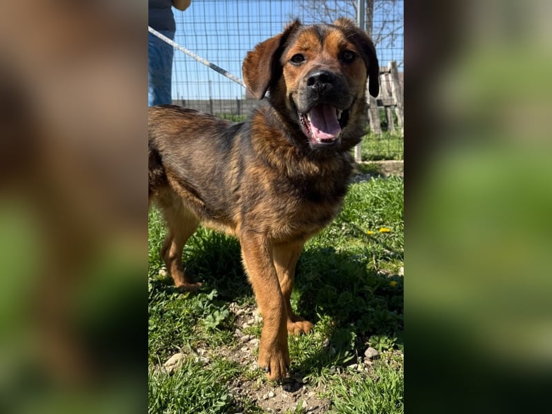 Fasirt ein hübscher junger Wonneproppen !