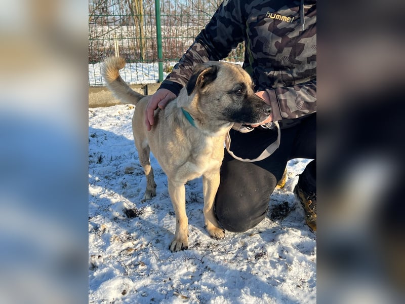 Patti und ihr Partner Benedek haben leider ihr Zuhause verloren !