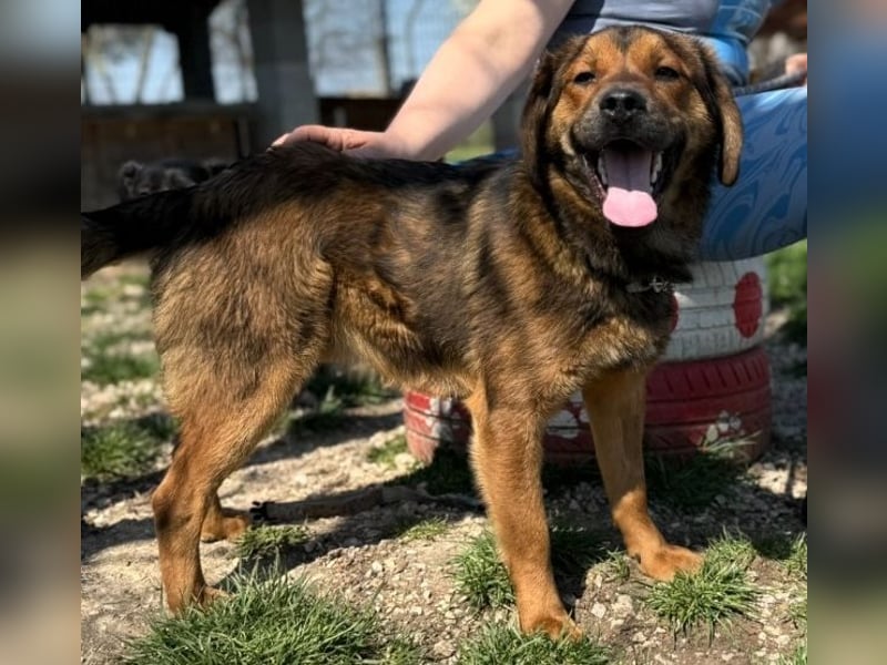 Fasirt ein hübscher junger Wonneproppen !