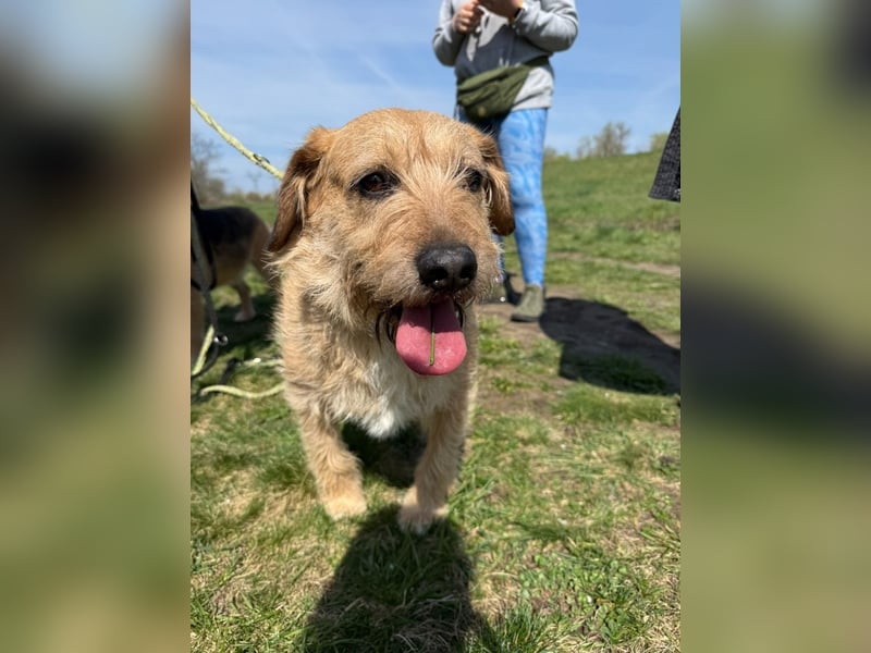 Plusz und Minusz, 2 Brüder, die gerne gemeinsam weiter durch das Leben gehen würden.