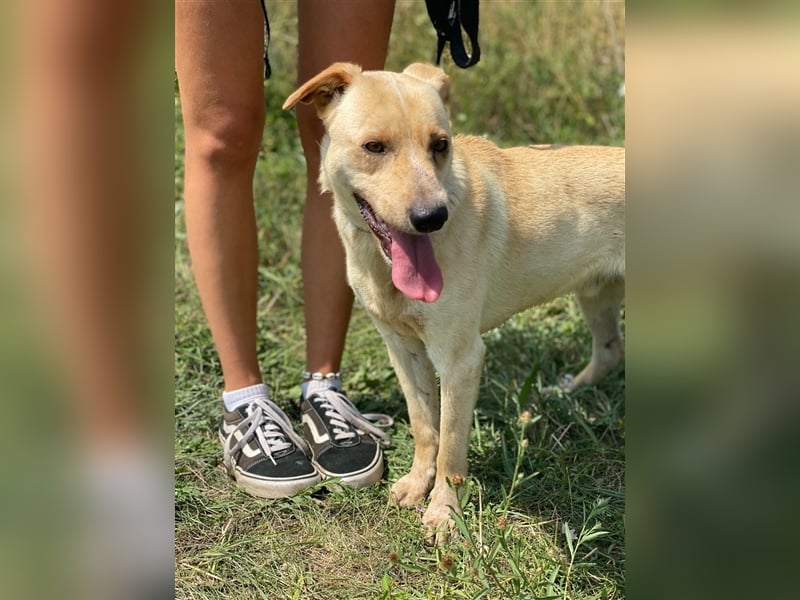 Der hübsche Milo hat eine unbeschreiblich schlechte Vergangenheit, die er gerne hinter sich lassen m