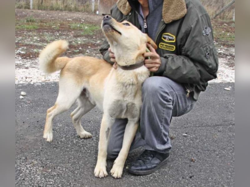 Wer hilft Zsemle, Menschen wieder zu vertrauen?
