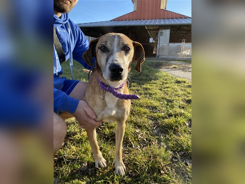 Jonas wurde von seinen Haltern alleine in einem Haus zurückgelassen